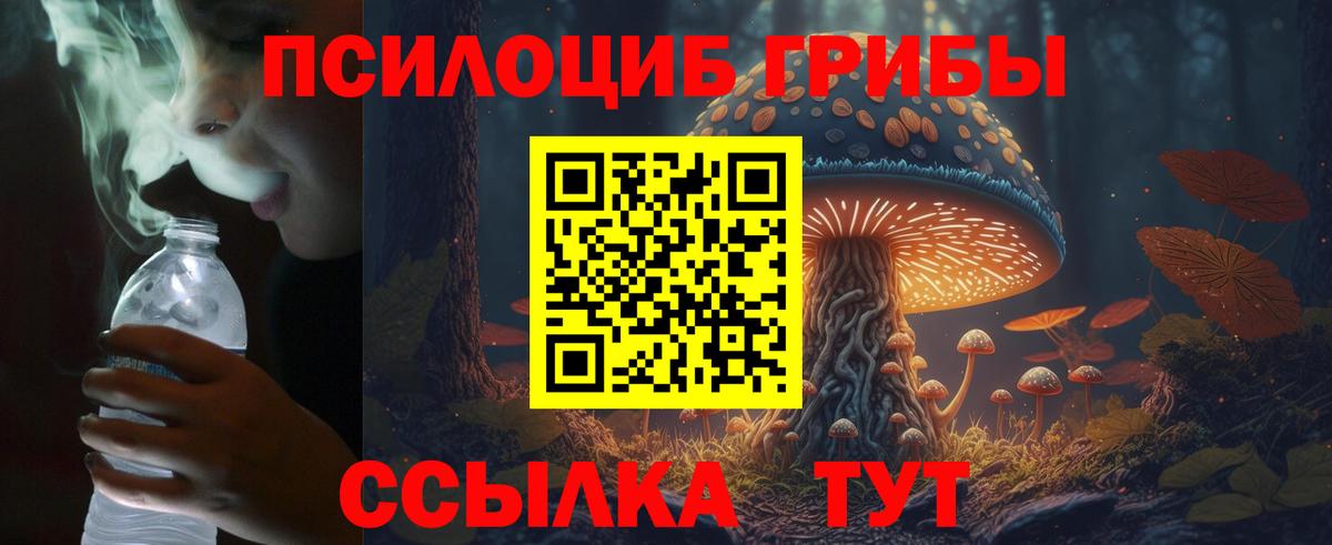 Псилоцибиновые грибы Psilocybine cubensis  Вход с VPN  Донецк 